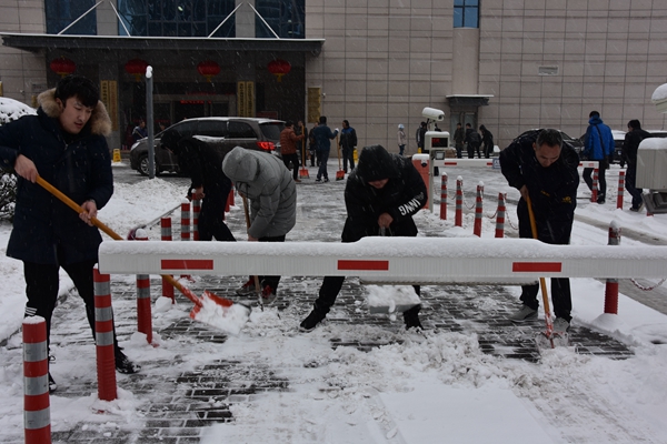 3.公司志愿者冒雪开展义务扫雪活动.jpg