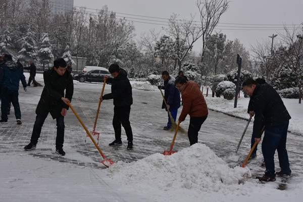 5.公司志愿者冒雪开展义务扫雪活动.jpg
