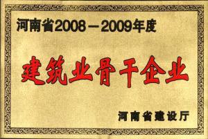 2008-2009建筑业骨干企业